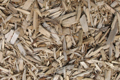 biomass boilers Tedsmore